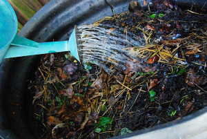 watercompost